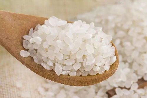 適糖米與咖啡 開啟健康生活新篇章，助力邁向無糖時代